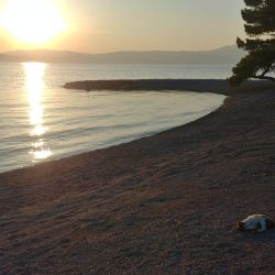 Photo of Adriatic II beach amenities area