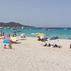 Photo of Saleccia Beach with very clean level of cleanliness