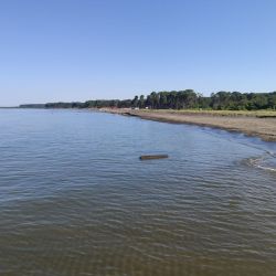 Photo of Ureki Nature beach wild area