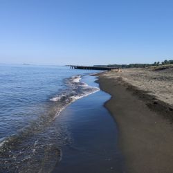 Photo of Ureki Nature beach located in natural area