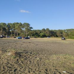 Photo of Ureki Nature beach with long straight shore